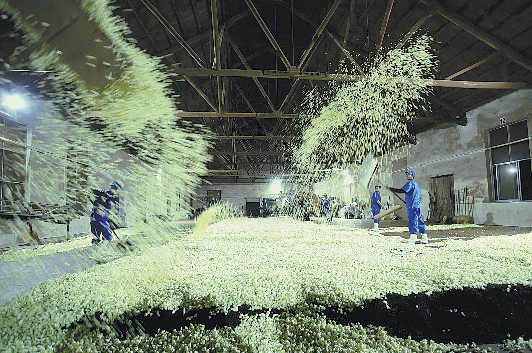 Secteur-du-jasmin-Chine