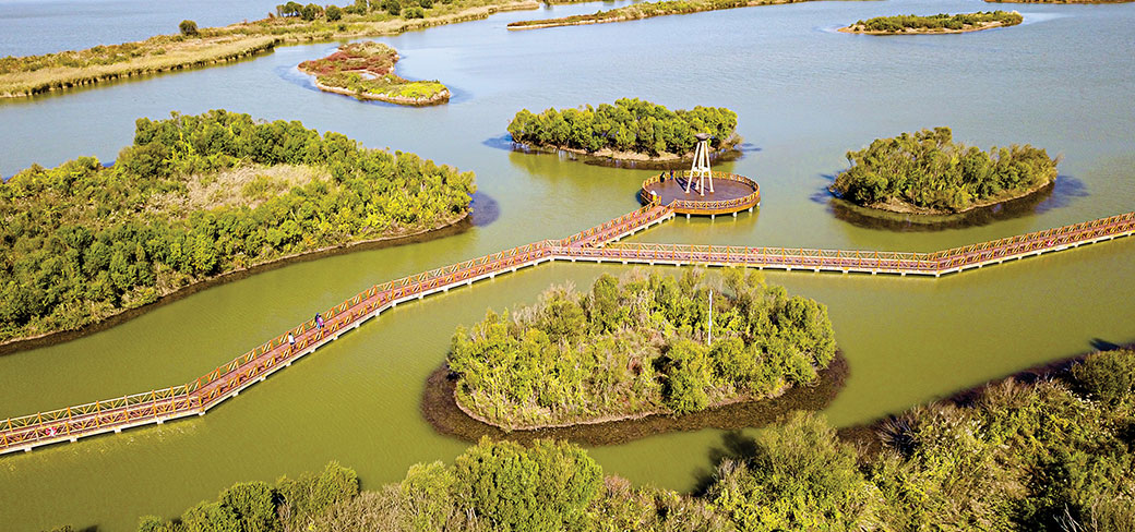 La réserve naturelle nationale du delta du fleuve Jaune revendique de riches systèmes de zones humides et fournit de bonnes conditions de vie à la faune aviaire. GUO XULEI / XINHUA