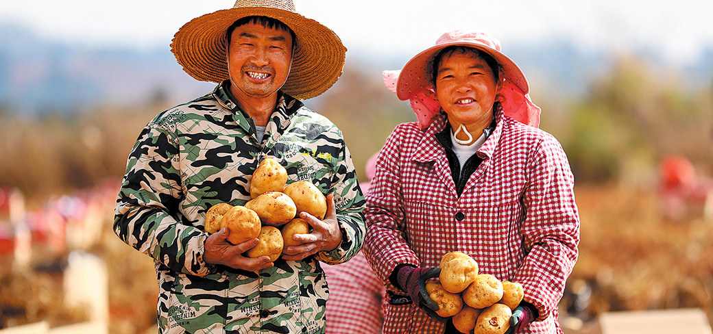Des cultivateurs avec une partie de leur récolte automnale de pommes de terre dans le comté de Luliang, à Qujing, dans la province du Yunnan. WANG YONG / FOR CHINA DAILY